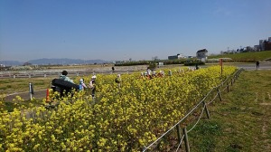 20200326遠足